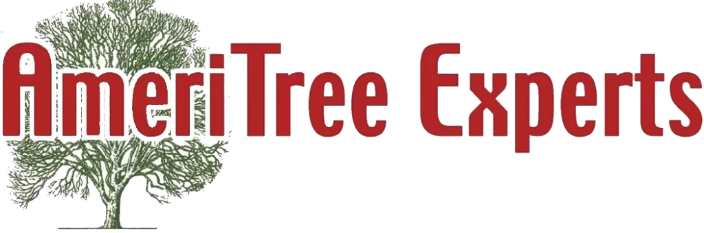 AmeriTree Experts